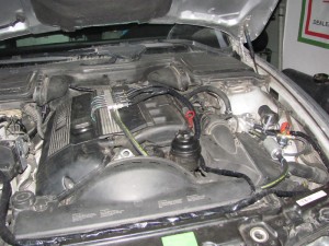 img_0507
