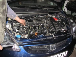 img_0516