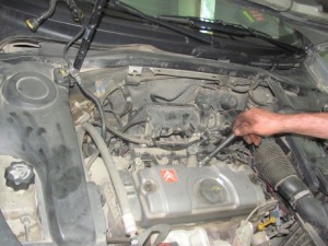 img_2140_resize