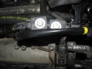 img_2895_resize
