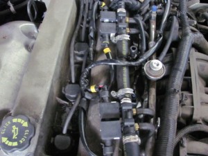 img_2964_resize