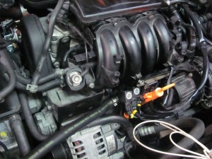 img_3318_resize