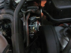 img_3319_resize