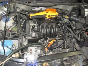 img_3334_resize