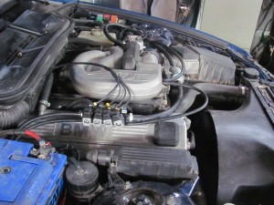 img_4586_resize