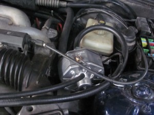 img_4589_resize