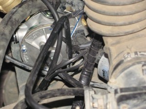 img_4783_resize