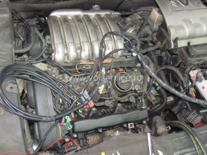 img_4800_resize
