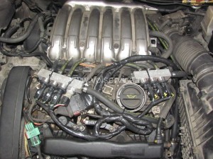 img_4818_resize