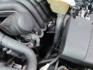img_4968_resize
