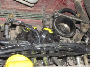 img_5002_resize