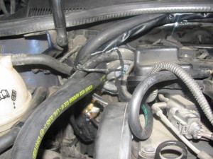 img_5135_resize