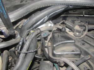 img_5136_resize
