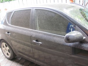 img_6011_resize