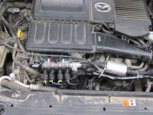img_8550_resize